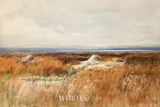 William Percy French, WEST OF IRELAND LANDSCAPE