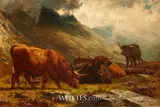 Alfred Grey, HIGHLAND CATTLE