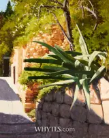 Trevor Geoghegan, CACTUS