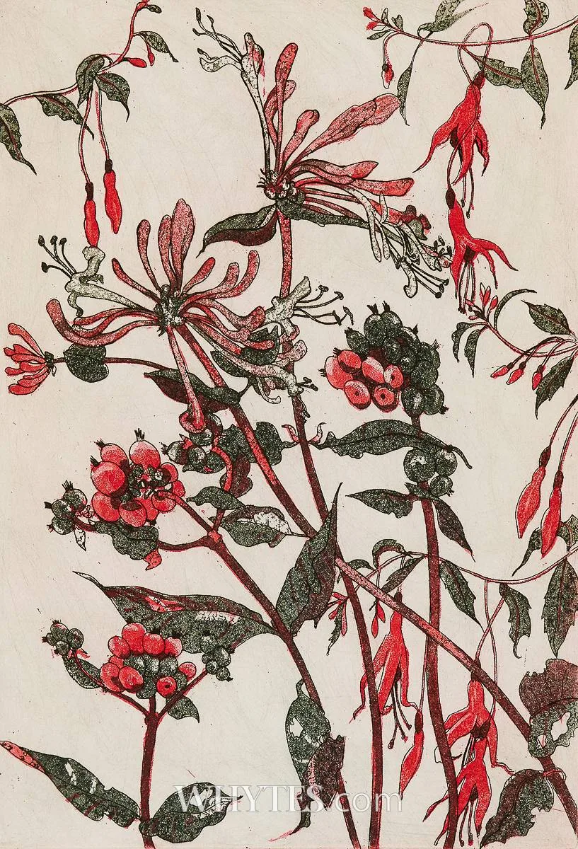 Pamela Leonard, HONEYSUCKLE AND FUSCHIA, aquatint in colours; (no. 5 from an edition of 100)