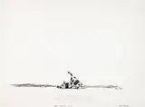 John Kelly, MORE FUCKING COWS