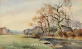 Mabel Young, STUDY OF RIVER AND TREES