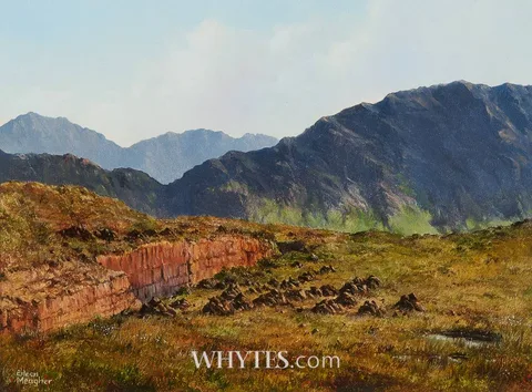 Eileen Meagher, NEAR BARLEY LAKE, WEST CORK, 1989, oil on canvas