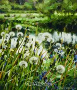 Mark O'Neill, DANDELION RIVER