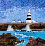 Desmond Kinney, HOOK HEAD LIGHTHOUSE, COUNTY WEXFORD