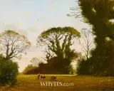 Padraig Lynch, TAAFFE'S FIELD