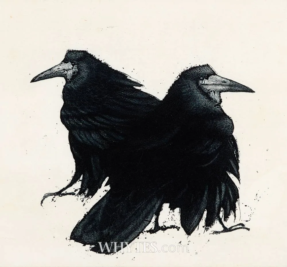 Vincent Sheridan, IMPRESSED, c.1990s, etching; (artist's proof from an edition of 40)