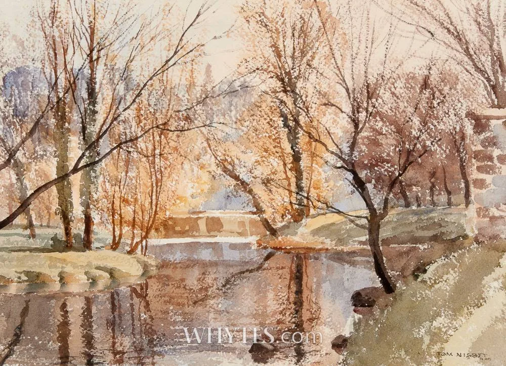 DODDER IN SPRING, DUBLIN by Tom Nisbet, watercolour, offered Jun 2025