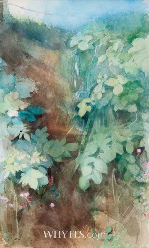 Tom Carr, WILD FLOWERS, watercolour