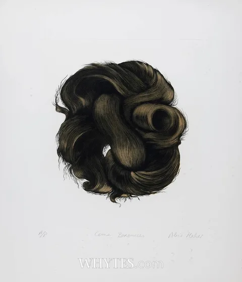 Alice Maher, COMA BERENICES, 1999, etching and aquatint (no. 14 from an edition of 30)