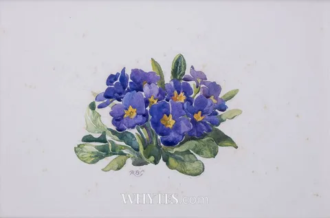 PRIMROSE by Rosaleen Brigid Ganly, watercolour, offered Jun 2025