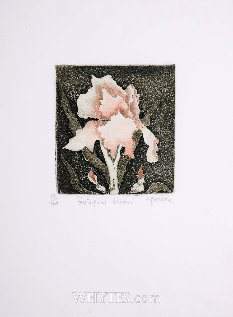 Margaret Becker, BOTANICAL BLOOM, drypoint and etching; (no. 17 from an edition of 100)
