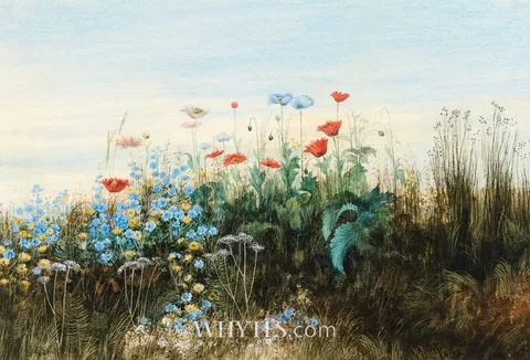 Andrew Nicholl, BANK OF WILD FLOWERS, watercolour