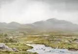 RIVER SCENE, Whyte's 2025