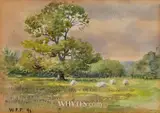 William Percy French, IN BUSHY PARK, TERENURE, DUBLIN