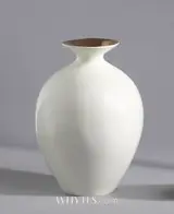Michael Foley, VASO