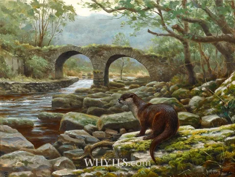 Julian Friers, OTTER, THE MEETING OF THE WATERS, KILLARNEY, COUNTY KERRY, oil on canvas