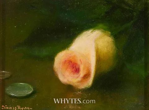 Thomas Ryan, STILL LIFE WITH ROSE, 1993, oil on board