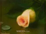 Thomas Ryan, STILL LIFE WITH ROSE