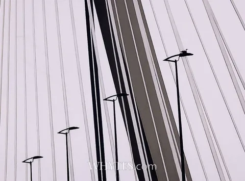 George Kavanagh, LYRICAL LINE, 2024, photograph; (from an edition of 2)
