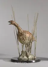 John Coll, CORNCRAKE [OMEY ISLAND SERIES]