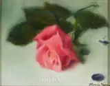 Thomas Ryan, EVA'S ROSE