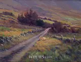 Alan Kenny, BACK ROAD TO DOOAGH, ACHILL