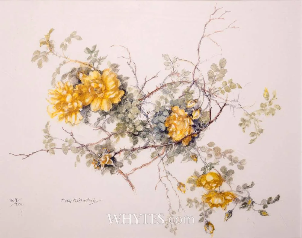 Mary McMurtrie, WILD ROSES, lithograph; (no. 309 from an edition of 500); (unframed)
