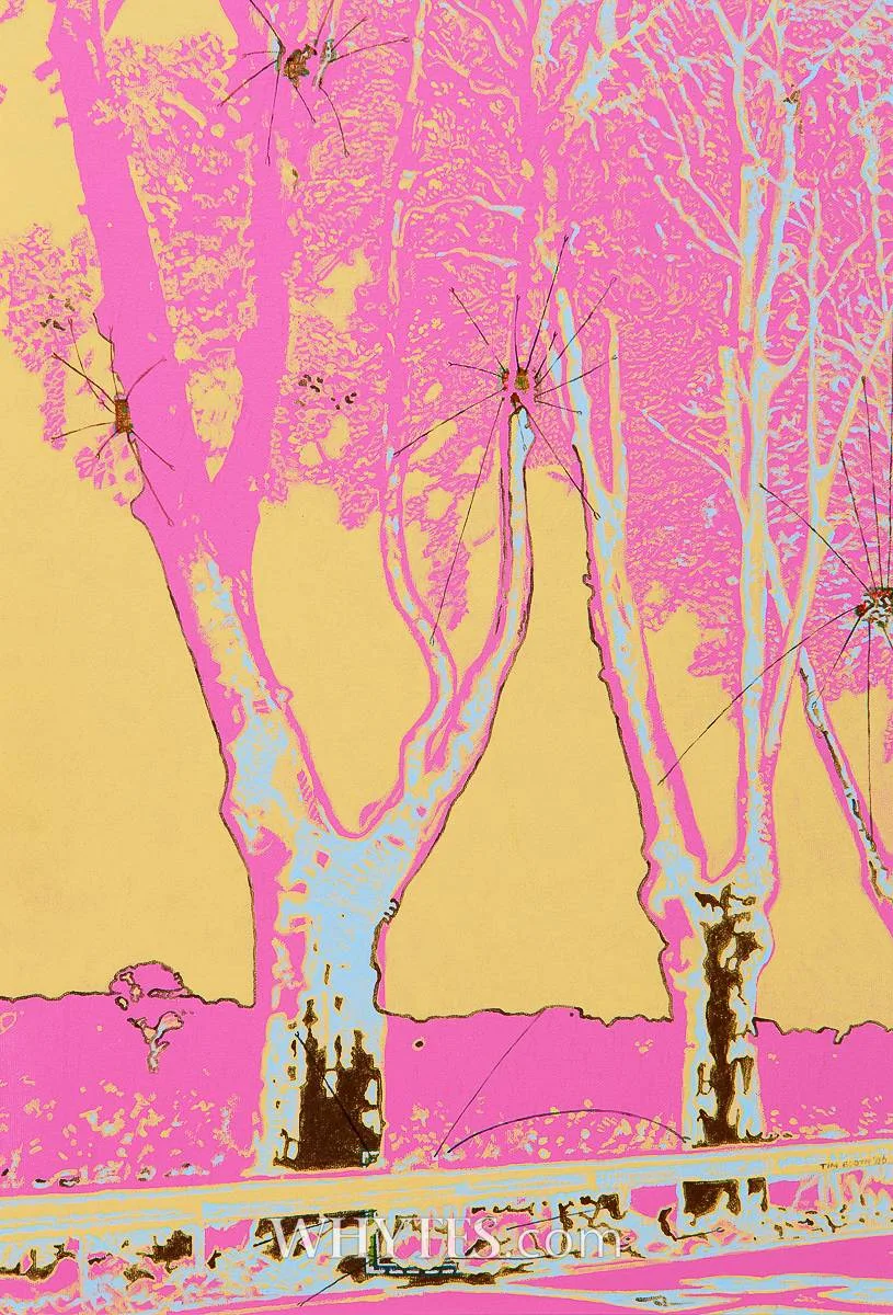 Tim Booth, HOT TREES, 2006, mixed media