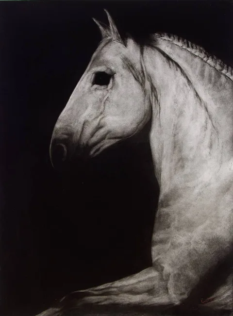 Paddy Lennon, HORSE HEAD, 2005, charcoal
