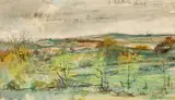 Terence P. Flanagan, LANDSCAPE