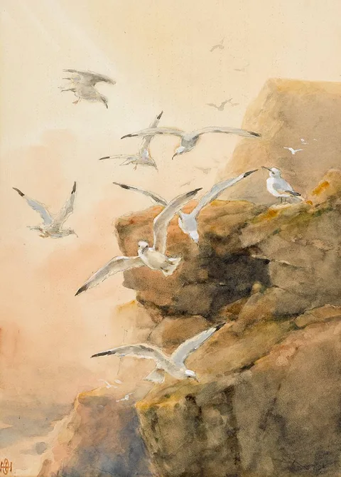 GULLS ON THE CLIFFTOP by Helen O'Hara, watercolour, offered Jul 2024