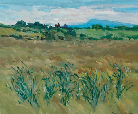 Diarmuid Larkin, GRASSY LANDSCAPE, oil on canvas board