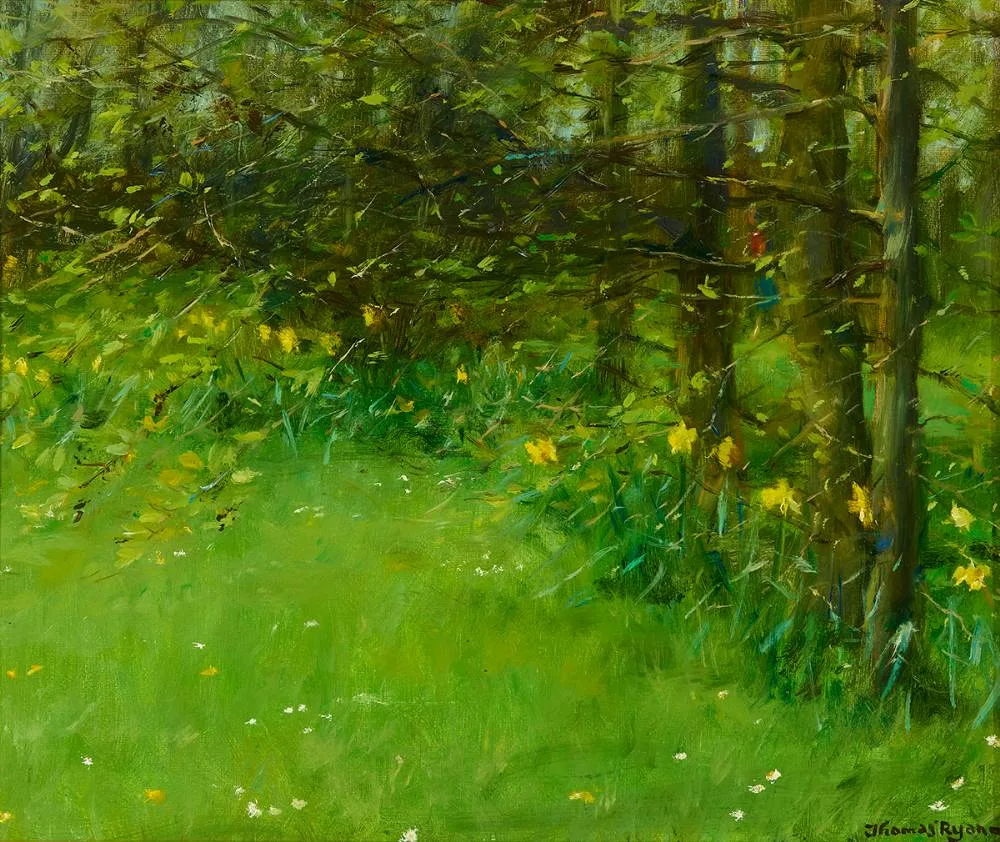 DAFFODILS UNDER TREES by Thomas Ryan, 1983, oil on canvas, sold Mar 2024