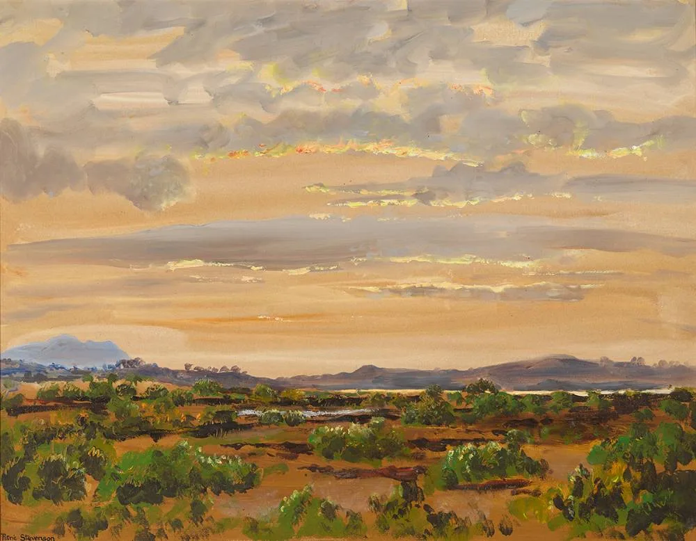 Patric Stevenson, LATE EVENING ON THE BOG, NEAR TRAWBREAGA BAY, COUNTY DONEGAL, 1965, acrylic on Ingres paper mounted on board