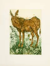 John Behan, DONKEY