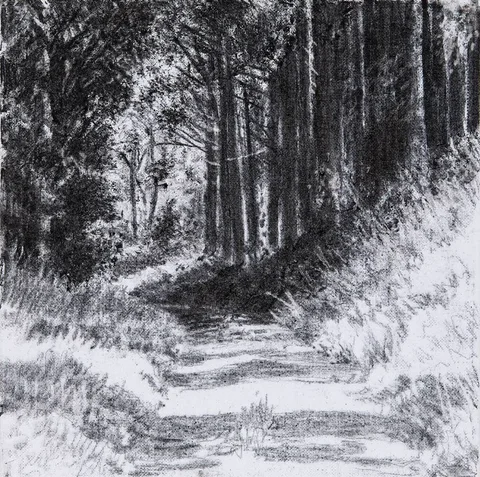 Michael Wann, THE MIDDLE AVENUE, LISADELL, charcoal on canvas