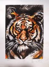 Ronnie Wood, TIGER