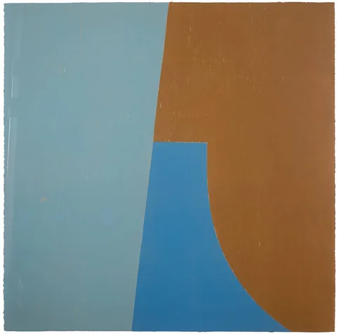 Richard Gorman, SLIDE, woodblock print; (no. 29 from an edition of 75)