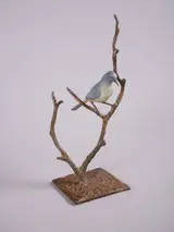 Joseph Sloan, WAGTAIL STUDY I ON STEM