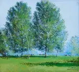 Simon Coleman, IN THE PHOENIX PARK