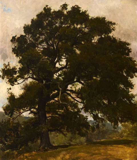 TREE STUDY by Nathaniel Hone, oil on canvas, sold Mar 2024