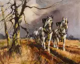SPRING FURROW, Whyte's 2024