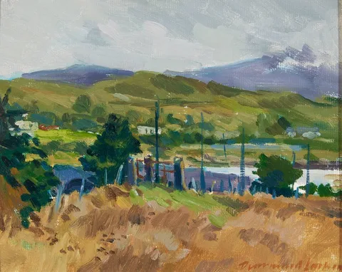 Diarmuid Larkin, FALLING MIST, TOOMBEOLA, ROUNDSTONE, oil on board