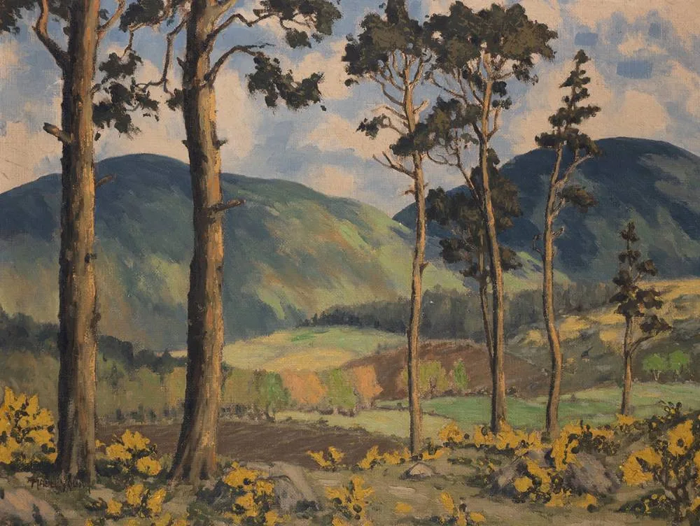 PINE TREES, WICKLOW by Mabel Young, oil on board, sold Dec 2023