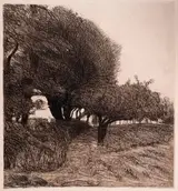 Roderic O'Conor, SENTIER À TRAVERS LES ARBES / PATH THROUGH THE TREES