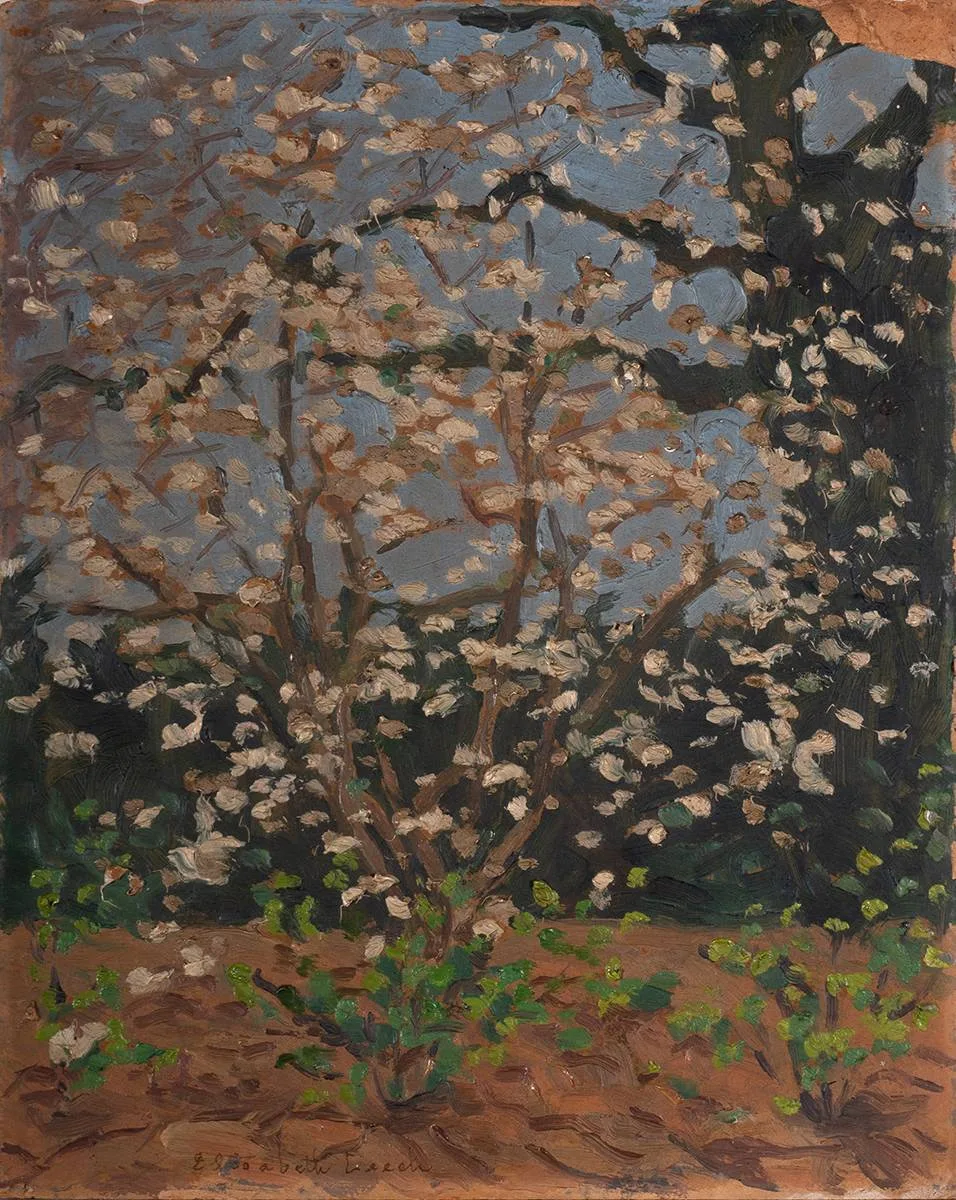 Saurin Elizabeth Leech, SPRING (PRINTEMPS NO. 2), oil on board