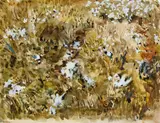 Patrick Swift, COTTON BOG