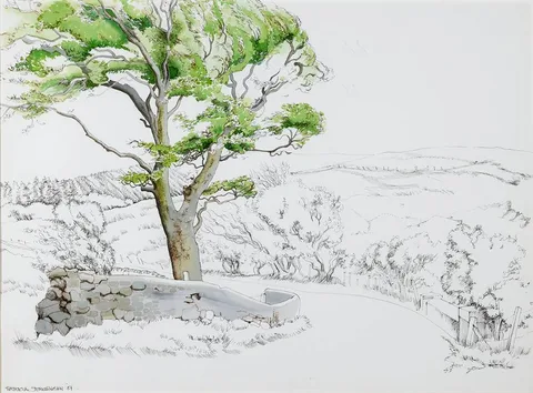 Patricia Jorgensen, TREE IN A LANDSCAPE, 1987, ink and watercolour