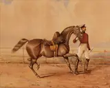 Robert Richard Scanlan, HORSE AND MILITARY FIGURE